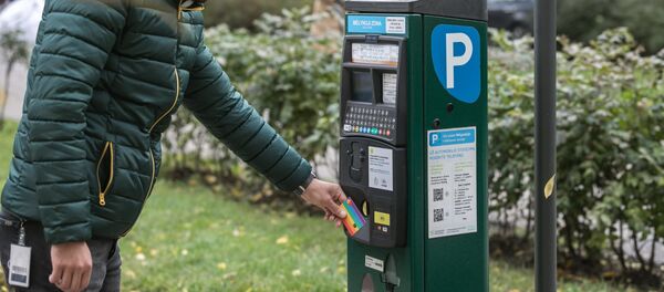 Parkavimo automatas Parkavimo automatas - Sputnik Lietuva