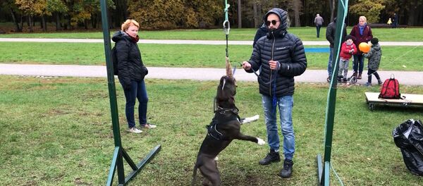 Дай лапу!: в Вильнюсе устроили праздник домашних животных  - Sputnik Lietuva