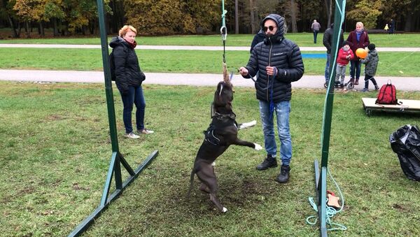 Дай лапу!: в Вильнюсе устроили праздник домашних животных  - Sputnik Lietuva