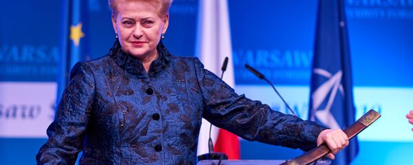 Экс-президент Даля Грибаускайте была награждена Почетным рыцарским орденом и мечом в Варшаве, архивное фото Экс-президент Даля Грибаускайте была награждена Почетным рыцарским орденом и мечом в Варшаве, архивное фото - Sputnik Lietuva