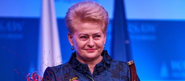 Экс-президент Даля Грибаускайте была награждена Почетным рыцарским орденом и мечом в Варшаве, архивное фото Экс-президент Даля Грибаускайте была награждена Почетным рыцарским орденом и мечом в Варшаве, архивное фото - Sputnik Lietuva