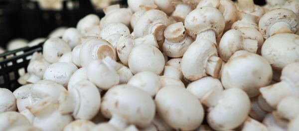 Шампиньоны, архивное фото - Sputnik Литва