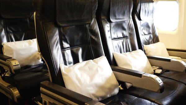 Салон самолета кресла с подушками, архивное фото - Sputnik Lietuva