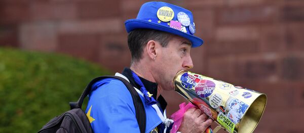 Протестующие против Brexit около Thornton Manor Hotel, где встречались британский премьер Борис Джонсон и премьер Ирландии Лео Вадаркар, 10 октября 2019 года - Sputnik Литва