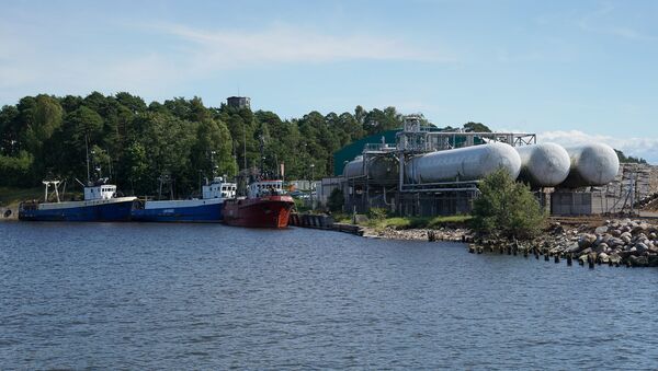 Порт Скулте, архивное фото - Sputnik Литва