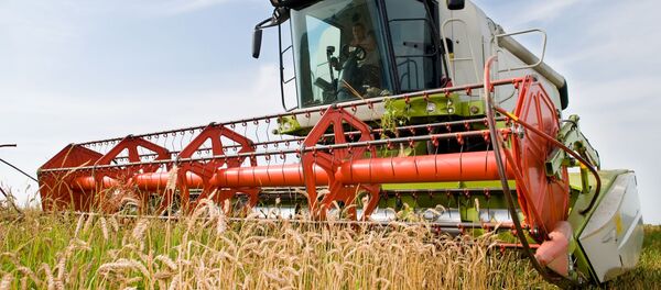 Комбайн убирает пшеницу, архивное фото - Sputnik Литва