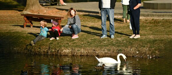 Горожане отдыхают на берегу пруда, архивное фото Горожане отдыхают на берегу пруда, архивное фото - Sputnik Литва