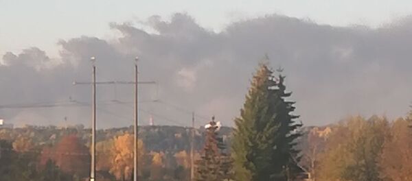 Gaisras Alytuje - Sputnik Lietuva