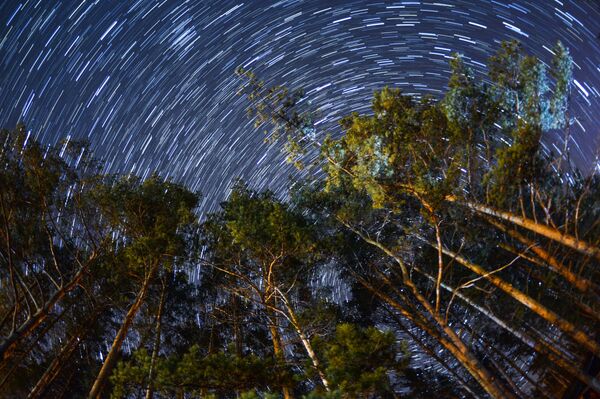 Gegužės 10 dienos horoskopas visiems zodiako ženklams Gegužės 10 dienos horoskopas visiems zodiako ženklams - Sputnik Lietuva