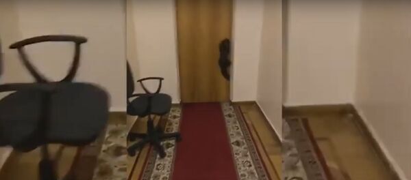 Куница в Раде - Sputnik Lietuva