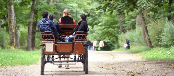 Музей-усадьба Ясная поляна - Sputnik Lietuva