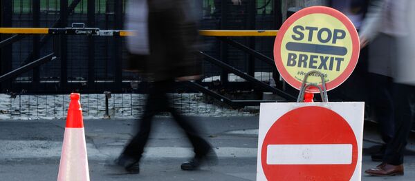 Знак протеста против Brexit, 22 октября 2019 года - Sputnik Литва