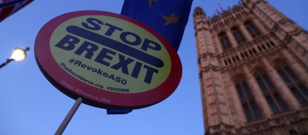Знак протеста против Brexit, 22 октября 2019 года - Sputnik Литва