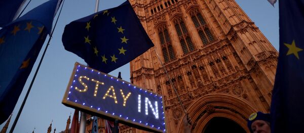 Знак протеста против Brexit, 22 октября 2019 года Знак протеста против Brexit, 22 октября 2019 года - Sputnik Lietuva