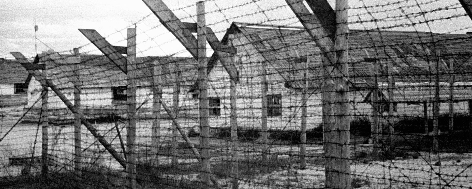 Koncentracijos stovykla - Sputnik Lietuva, 1920, 22.08.2021