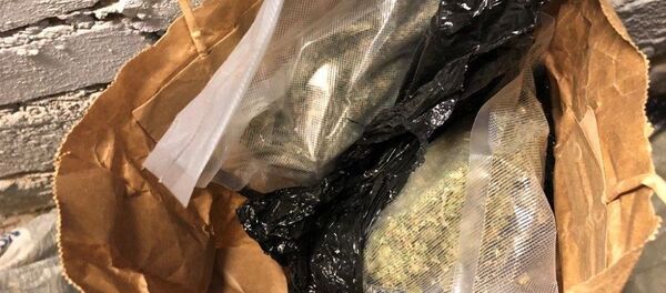 В Вильнюсе обнаружили крупную партию наркотиков В Вильнюсе обнаружили крупную партию наркотиков - Sputnik Lietuva