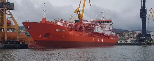 Coral Favia - Sputnik Lietuva