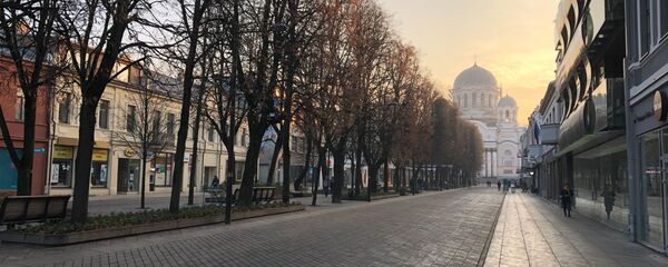 Каунас, Лайсвес Алея (Аллея Свободы), архивное фото Каунас, Лайсвес Алея (Аллея Свободы), архивное фото - Sputnik Литва