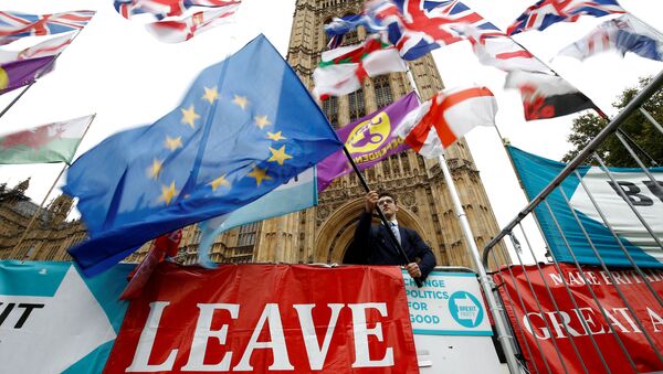 Протестующий против Brexit развевает флаг ЕС возле здания парламента в Лондоне, 27 октября 2019 года - Sputnik Lietuva