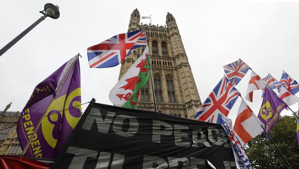 Флаги и плакаты возле здания парламента в Лондоне, 25 октября 2019 года - Sputnik Lietuva