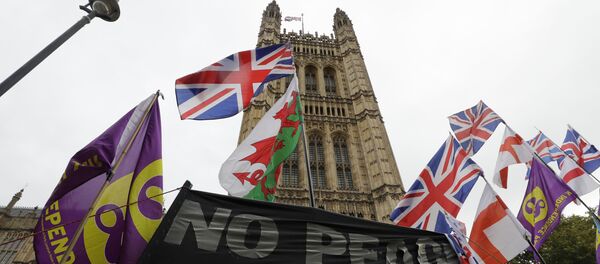 Флаги и плакаты возле здания парламента в Лондоне, 25 октября 2019 года - Sputnik Литва