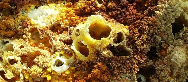 Долина Даллол в Эфиопии, архивное фото - Sputnik Lietuva