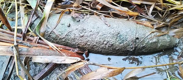 Снаряд времен войны, архивное фото - Sputnik Литва