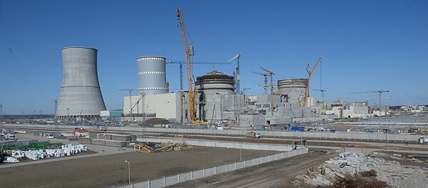 Литва против БелАЭС: почему Вильнюс бойкотирует выгодный для себя проект - Sputnik Литва