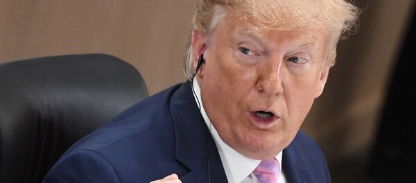 JAV prezidentas Donaldas Trampas JAV prezidentas Donaldas Trampas - Sputnik Lietuva