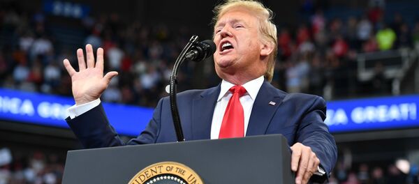 Президент США Дональд Трамп, архивное фото - Sputnik Lietuva