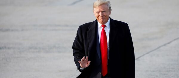 Президент США Дональд Трамп, архивное фото Президент США Дональд Трамп, архивное фото - Sputnik Lietuva