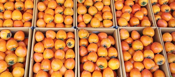 Хурма, архивное фото Хурма, архивное фото - Sputnik Lietuva