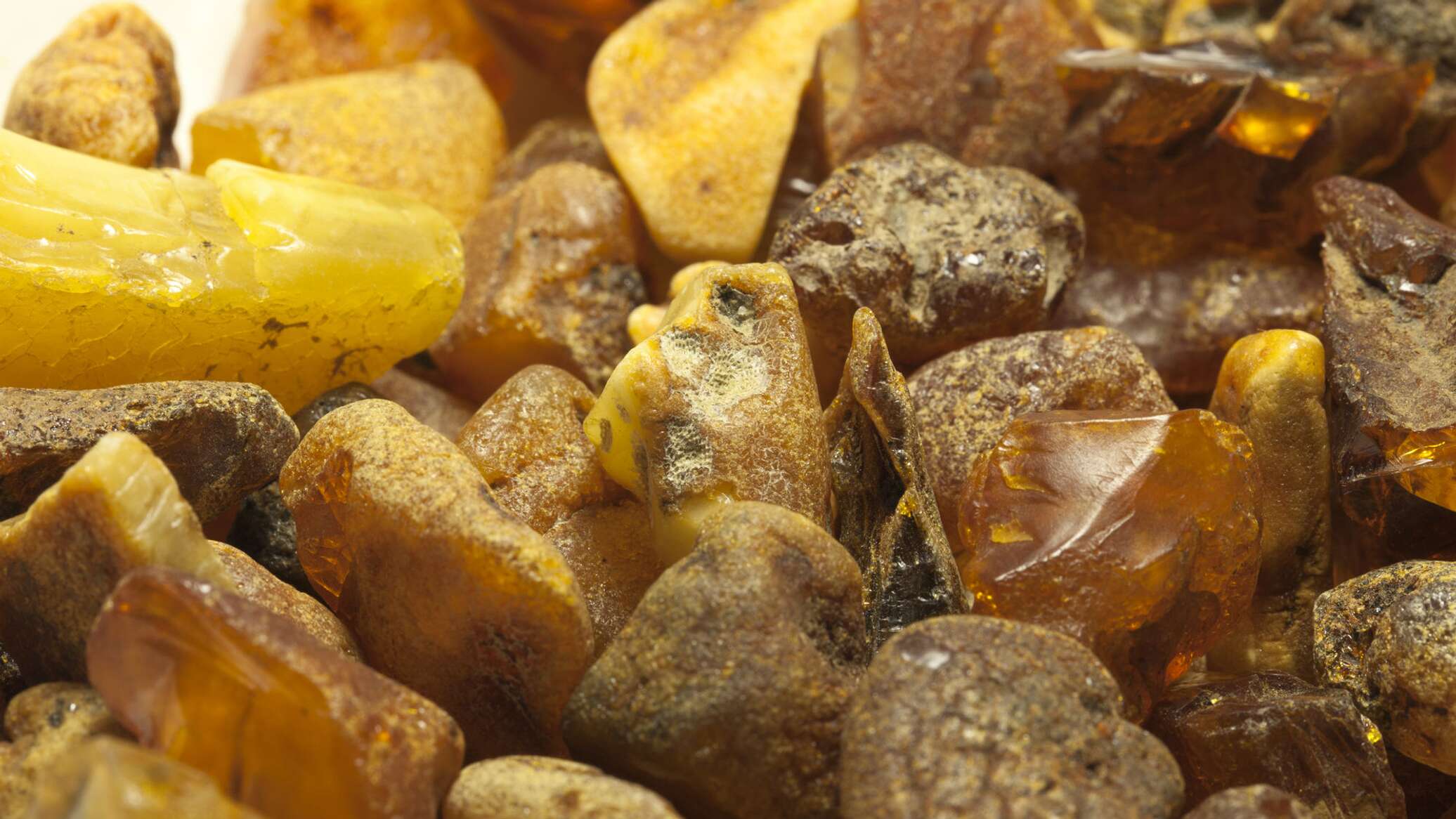 Члены ОПГ переправили в Литву почти 200 килограммов янтаря из ...