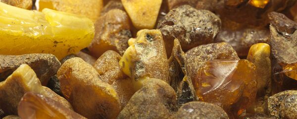 Необработанный янтарь, архивное фото - Sputnik Литва