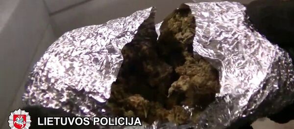 Задержали банду, которая распространяла наркотики подросткам Задержали банду, которая распространяла наркотики подросткам - Sputnik Lietuva