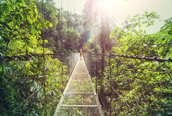 Прогулка в джунглях Коста-Рики в Центральной Америке  - Sputnik Литва