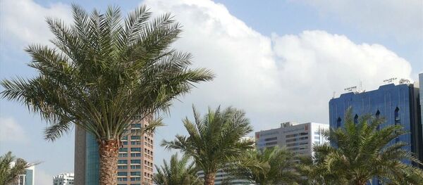 Абу-Даби, архивное фото Абу-Даби, архивное фото - Sputnik Литва