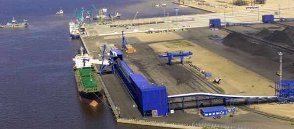 Вид на универсальный перегрузочный комплекс в морском торговом порту Усть-Луга, архивное фото Вид на универсальный перегрузочный комплекс в морском торговом порту Усть-Луга, архивное фото - Sputnik Lietuva