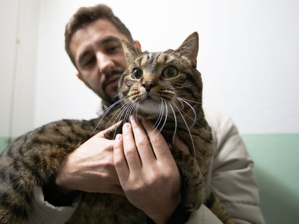Михаил Галин со своим котом Виктором - Sputnik Литва