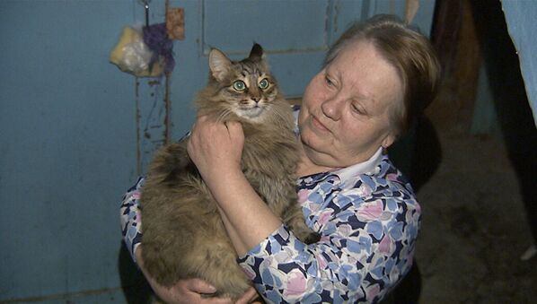 Кошка Маша, которая помогла спасти от холода ребенка в подъезде Обнинска - Sputnik Литва