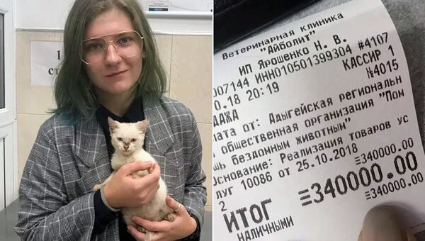 Студентка Анна, оплатившая задолженность приюта, со спасенным котенком - Sputnik Литва