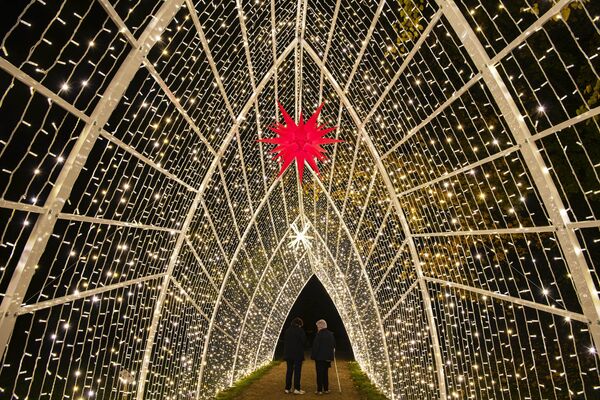 Посетители в парке Пильниц в Дрездене, украшенном к Рождеству - Sputnik Lietuva