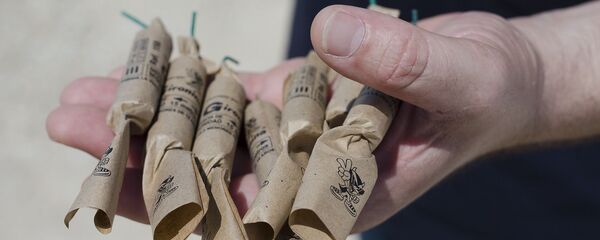 Петарды в руке, архивное фото Петарды в руке, архивное фото - Sputnik Литва