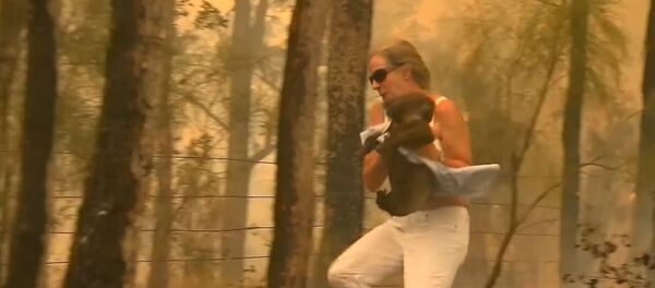 Австралийка спасла коалу из огня - Sputnik Lietuva