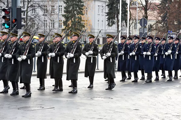 Празднование 101-летия литовской армии в Вильнюсе
