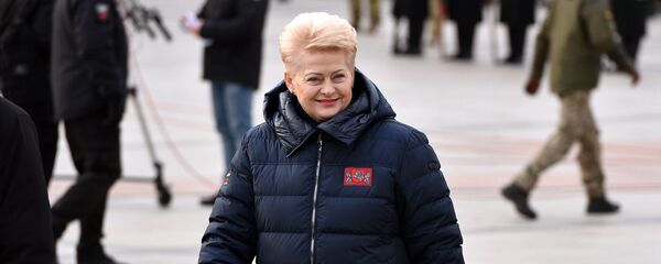 Президент Литвы прошлых каденций Даля Грибаускайте, архивное фото - Sputnik Литва