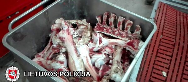 Klaipėdoje verslininkas prekiavo pašvinkusia mėsa Klaipėdoje verslininkas prekiavo pašvinkusia mėsa - Sputnik Lietuva