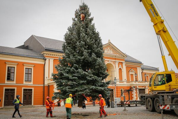 Kada ir kaip vyks Kalėdų eglučių įžiebimo šventės Lietuvos miestuose Kada ir kaip vyks Kalėdų eglučių įžiebimo šventės Lietuvos miestuose - Sputnik Lietuva