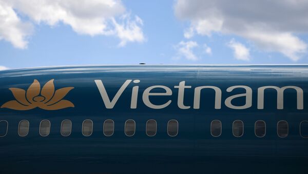 Oro linijų bendrovės Vietnam Airlines lėktuvas - Sputnik Lietuva