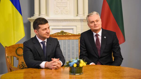 Встреча президента Литвы Гитанаса Науседы с президентом Украины Владимиром Зеленским, 27 ноября 2019 года - Sputnik Литва